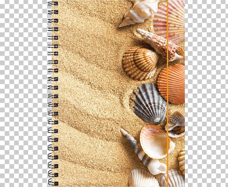 Stock Photography Sand PNG, Clipart, Clam, Cockle, Depositphotos, Download, Gunshot Free PNG Download