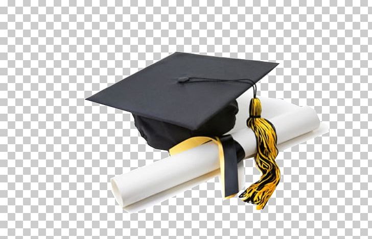 Academic Dress Graduate Diploma Graduation Ceremony Gown PNG, Clipart,  Free PNG Download