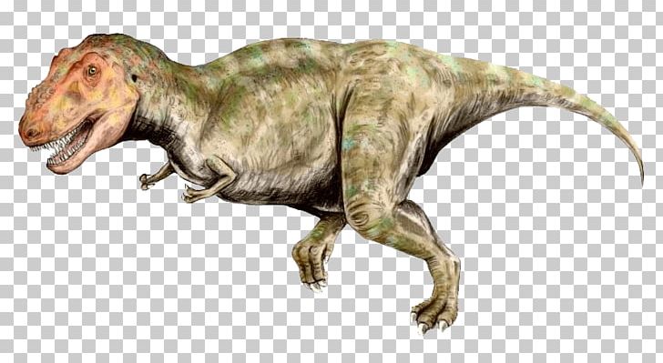 Tyrannosaurus Late Cretaceous Tyrannosauridae Ankylosaurus Spinosaurus PNG, Clipart, Animals, Apex Predator, Background Green, Cretaceous, Dinosaur Free PNG Download