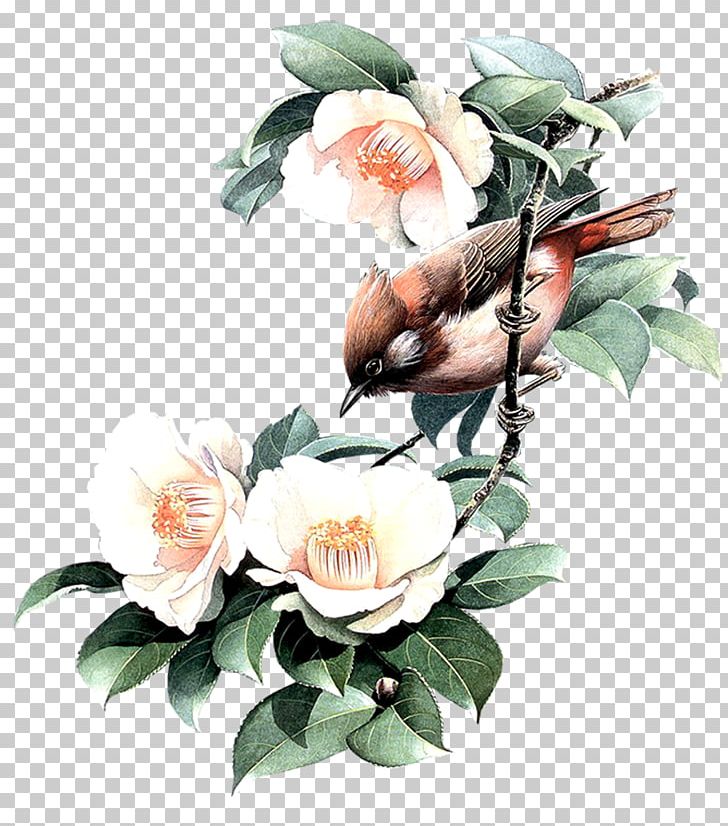 Bird Owl Painting PNG, Clipart, Animals, Art, Artificial Flower, Birdandflower Painting, Cut Flowers Free PNG Download
