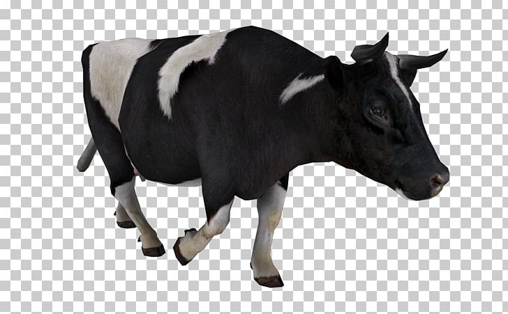 Cow PNG, Clipart, Cow Free PNG Download