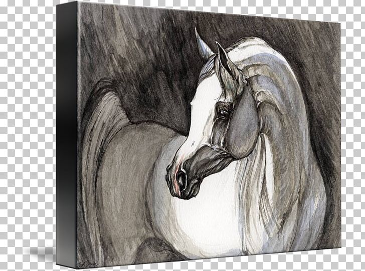 Mustang Mane Stallion Bridle Painting PNG, Clipart, Arabian Horse, Artwork, Black And White, Bridle, Drawing Free PNG Download