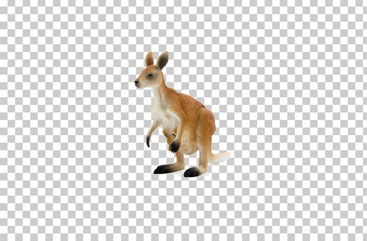 Red Kangaroo Macropodidae Lion Platypus PNG, Clipart, Animal, Animale, Animal Figure, Animals, Antilopine Kangaroo Free PNG Download