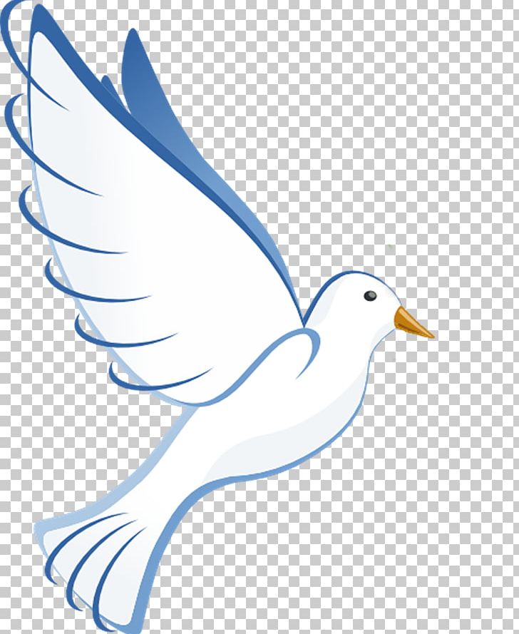 Columbidae PNG, Clipart, Animals, Area, Artwork, Beak, Bird Free PNG Download