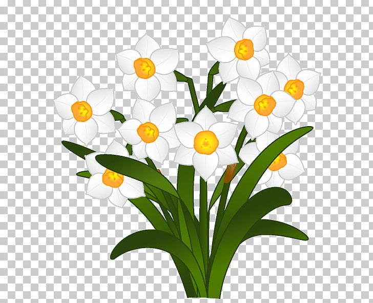 Cut Flowers Bunch-flowered Daffodil PNG, Clipart, Amaryllidaceae, Amaryllis Family, Branch, Bud, Common Sunflower Free PNG Download