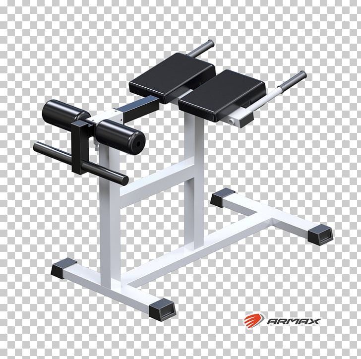 Exercise Machine Hyperextension Fitness Centre Roman Chair Physical Fitness PNG, Clipart, Angle, Bench, Bench Press, Dip Bar, Exercise Equipment Free PNG Download