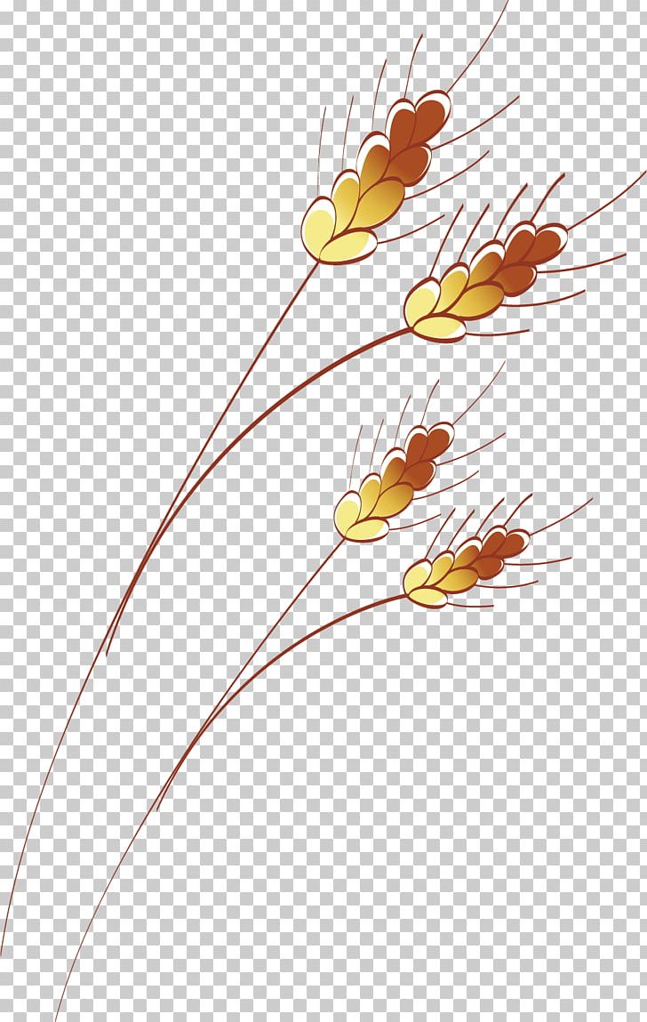 Floral Design PNG, Clipart, Adobe, Branch, Cartoon, Crop, Encapsulated Postscript Free PNG Download