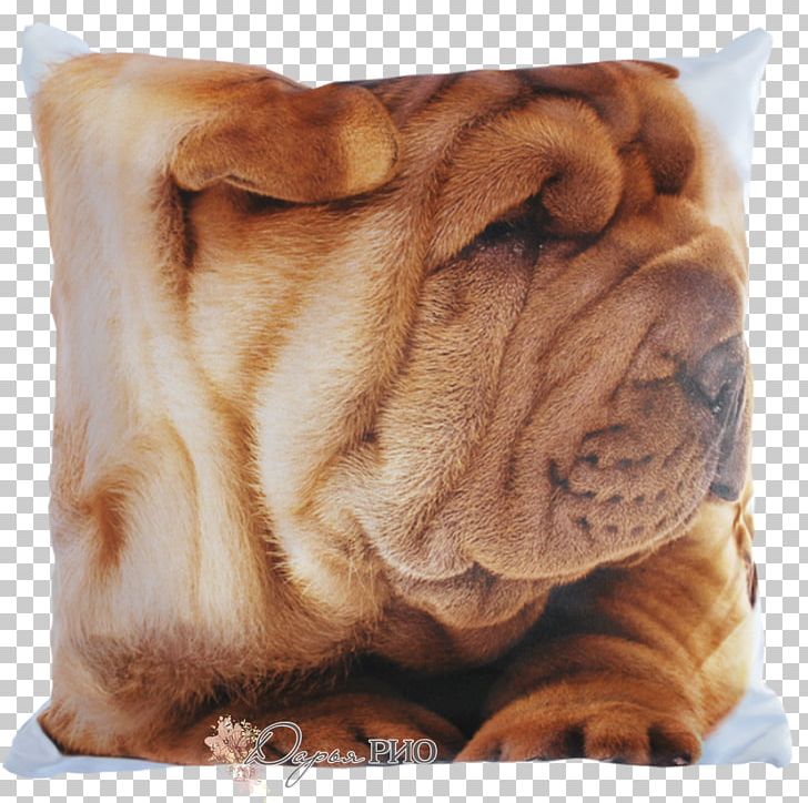 Shar Pei Ori-Pei Dog Breed Pillow Cushion PNG, Clipart, Animal, Breed Group Dog, Carnivoran, Cushion, Dog Breed Free PNG Download