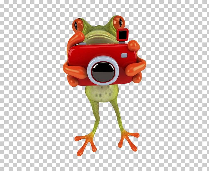 Infocus Photography Insurance Photographer PNG, Clipart, Amphibian, Animal Figure, Fashion Photography, Fineart Photography, Frog Free PNG Download