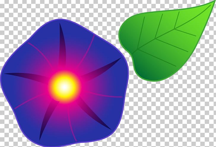Ipomoea Indica Morning Glory Drawing PNG, Clipart, Blog, Circle, Drawing, Free Content, Glory Cliparts Free PNG Download