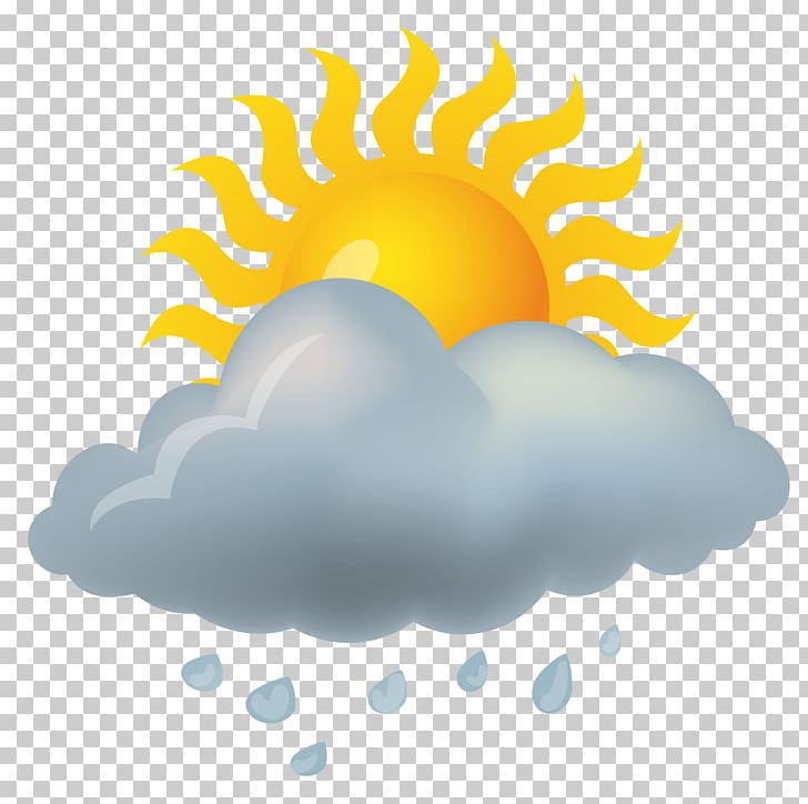 Weather Forecasting Rain Icon PNG, Clipart, Adobe Icons Vector, Camera Icon, Climate, Cloud, Company Free PNG Download
