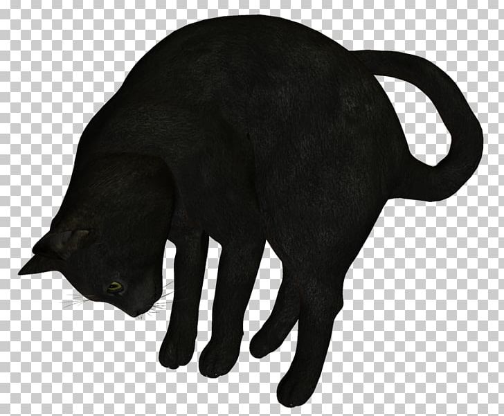 Black Cat PNG, Clipart, Animal, Animals, Animation, Black, Black Cat Free PNG Download