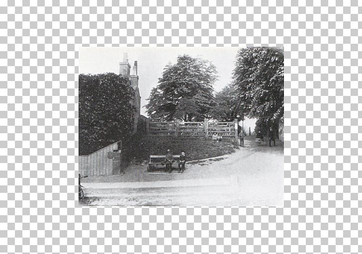 Highgate Edwardian Era Victorian Era History Land Lot PNG, Clipart, Black And White, Edwardian Era, Heath Park School, Highgate, History Free PNG Download