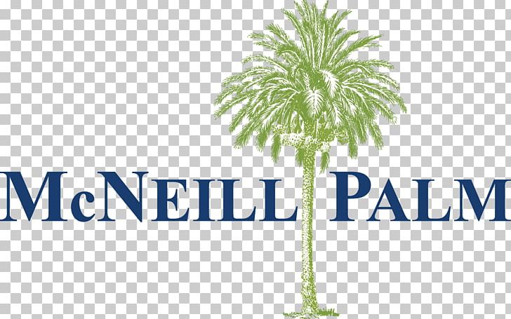 Interior Design Services Design Studio Company McNeill Palm PNG, Clipart, Aly, Arecales, Art, Brand, Casecontrol Study Free PNG Download