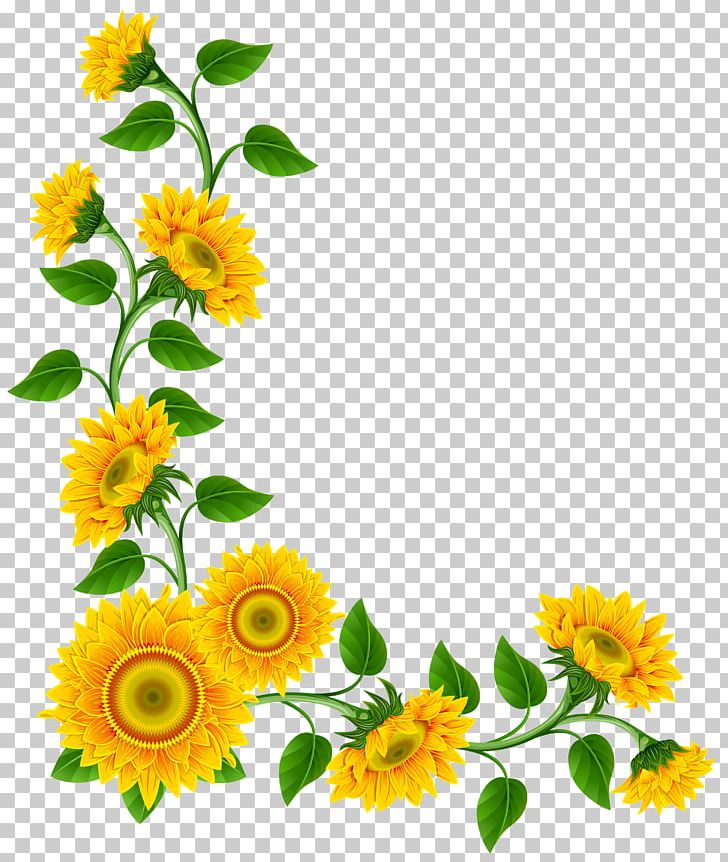 Free Content PNG, Clipart, Art, Blog, Calendula, Computer Icons, Cut Flowers Free PNG Download