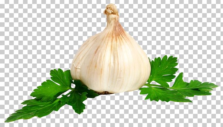 Garlic Onion PNG, Clipart, Chutney, Clove, Computer Icons, Dish, Food Free PNG Download