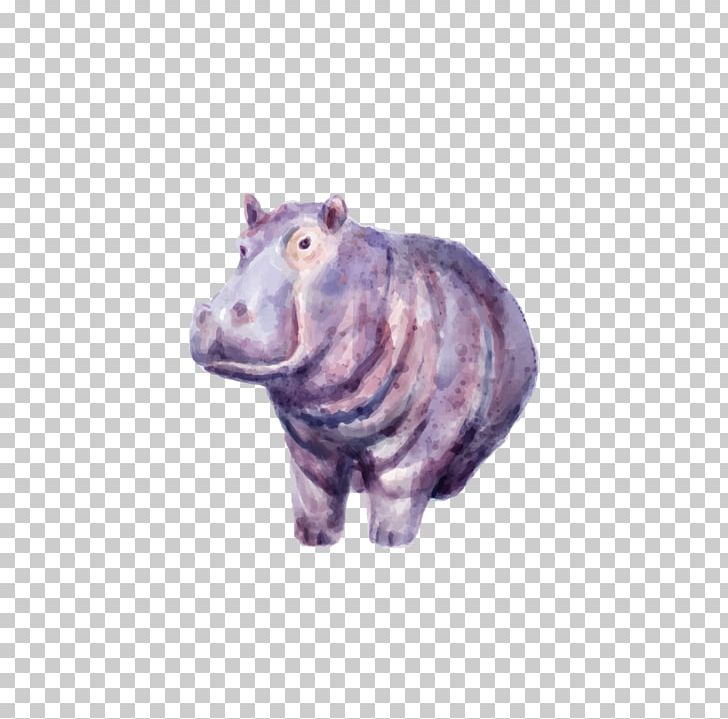 Hippopotamus Drawing PNG, Clipart, Animal, Animals, Drawing, Encapsulated Postscript, Fauna Free PNG Download