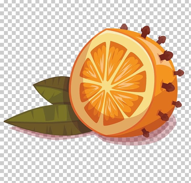 Mandarin Orange Fruit Drawing PNG, Clipart, Adobe Illustrator, Apple Fruit, Article, Artworks, Citrus Free PNG Download
