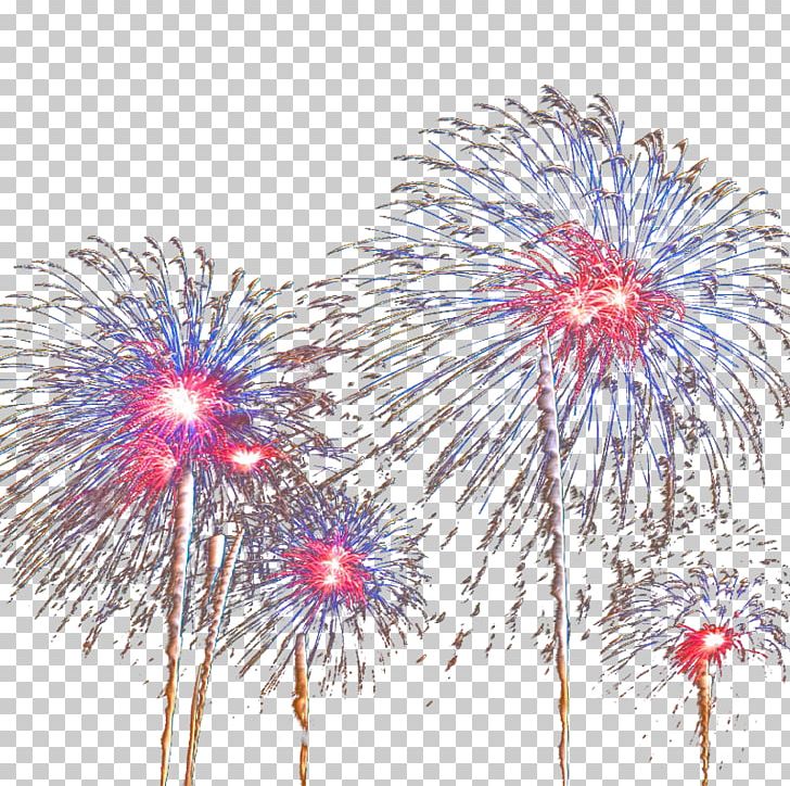 Nice Fireworks Pyrotechnics PNG, Clipart, 21gun Salute, Artificier, Cartoon Fireworks, Color, Designer Free PNG Download