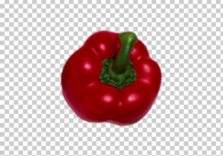 Habanero Bell Pepper Chili Pepper Paprika Malagueta Pepper PNG, Clipart, Bell Pepper, Bell Peppers And Chili Peppers, Chili Pepper, Food, Fruit Free PNG Download
