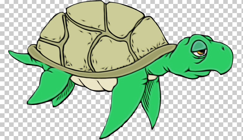 Reptiles Sea Turtles Tortoise Turtles Tortoise M PNG, Clipart, Cartoon, Paint, Reptiles, Sea, Sea Turtles Free PNG Download