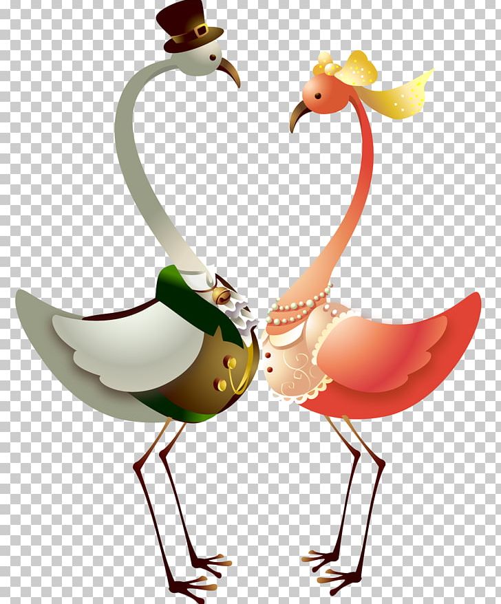 Cartoon Drawing Stock Illustration PNG, Clipart, Animal, Animals, Beak, Bird, Black Swan Free PNG Download