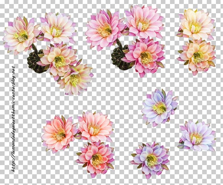 Cut Flowers Floral Design Floristry PNG, Clipart, Annual Plant, Aster, Blog, Chrysanthemum, Chrysanths Free PNG Download