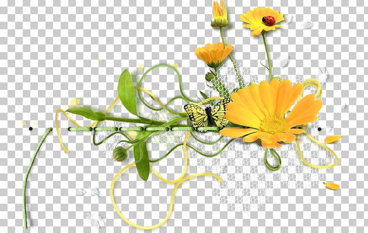 Flower Photography PNG, Clipart, Daisy, Daisy Family, Deco, Drawing, Flora Free PNG Download