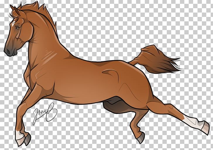 Foal Mane Pony Mustang Stallion PNG, Clipart, Bridle, Colt, English Riding, Fictional Character, Foal Free PNG Download