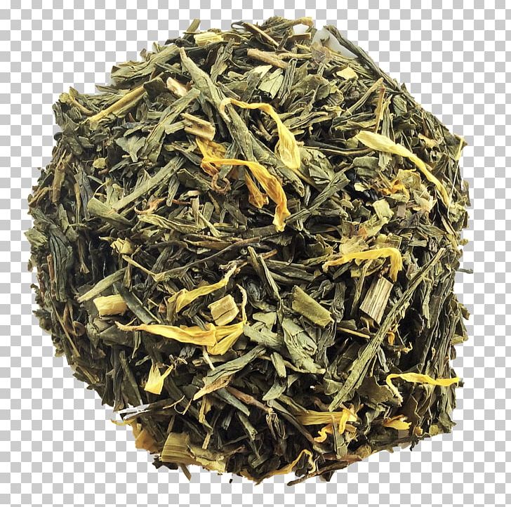 Nilgiri Tea Dianhong Golden Monkey Tea Green Tea Gunpowder Tea PNG, Clipart,  Free PNG Download