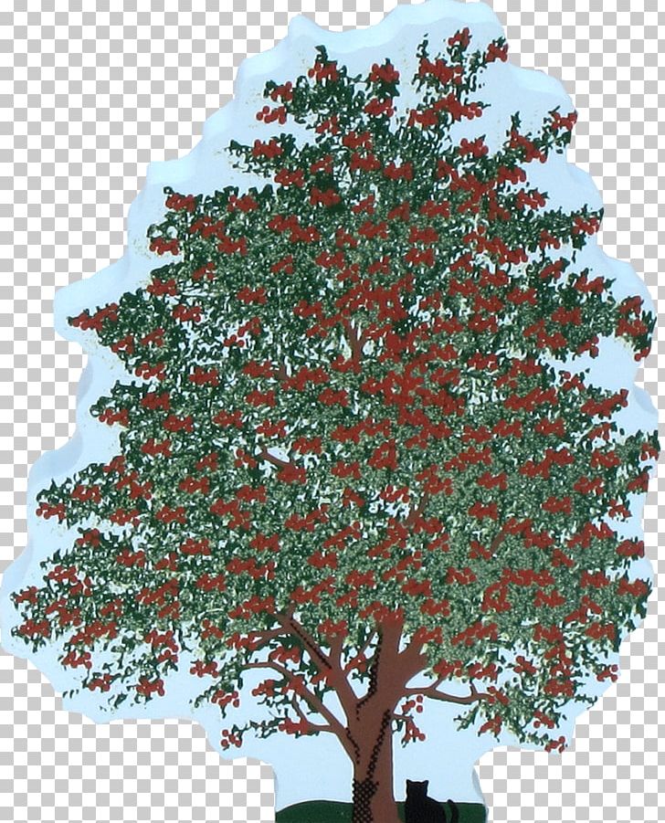 Tree Shrub Branch Woody Plant PNG, Clipart, Bonsai, Branch, Christmas Decoration, Christmas Tree, Conifer Free PNG Download