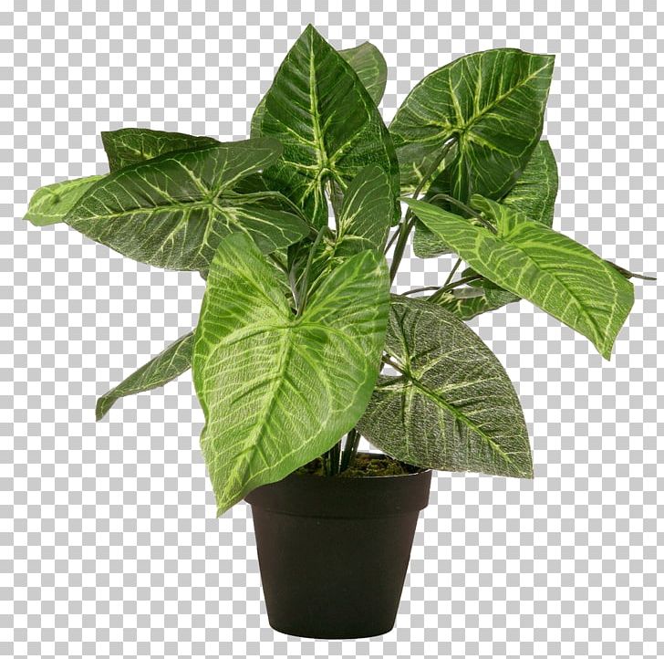 Artificial Flower Flowerpot Taro Elephant's Ear Embryophyta PNG, Clipart, Artificial Flower, Blume, Blumen, Burknar, Calla Lily Free PNG Download