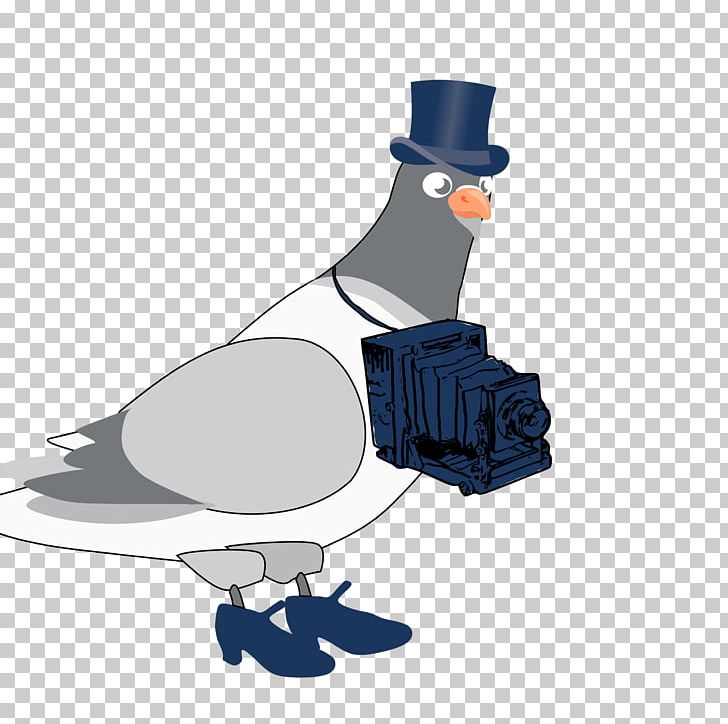 Columbidae Bird PNG, Clipart, Animals, Beak, Bird, Camera, Color Free PNG Download