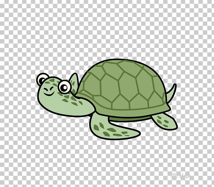 Tortoise Sea Turtle Illustration PNG, Clipart, Animals, Cartoon, Download, Drawing, Emydidae Free PNG Download