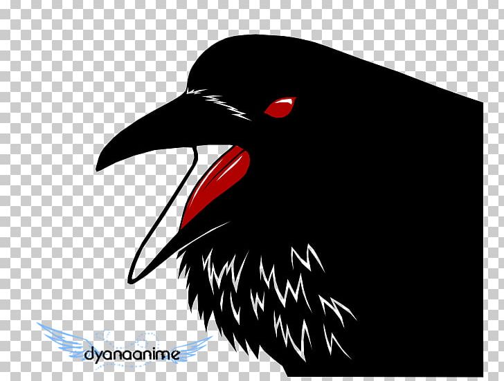 Fauna Close-up Beak Font PNG, Clipart, Beak, Bird, Closeup, Close Up, Crow Free PNG Download