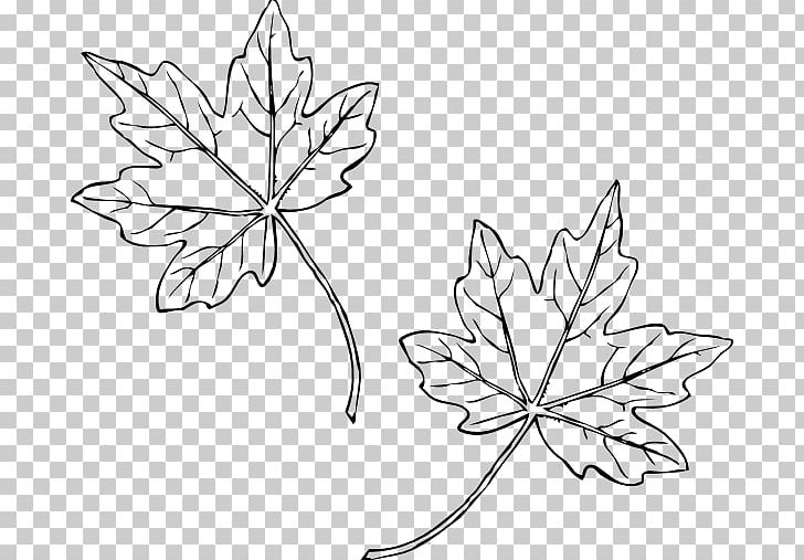 Floral Design Leaf PNG, Clipart, Artwork, Black And White, Branch, Cut Flowers, Drawing Free PNG Download