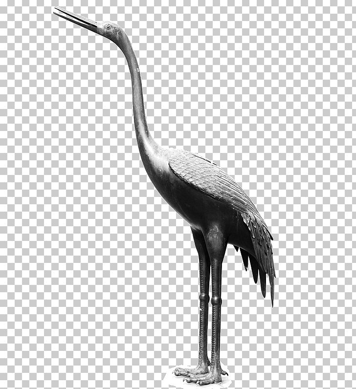 Crane PNG, Clipart, Art, Beak, Bird, Black And White, Ciconiiformes Free PNG Download