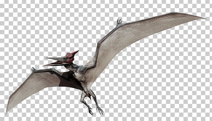 Jurassic Park Pteranodon Microceratus Mosasaurus Dimorphodon PNG, Clipart, Dimorphodon, Dinosaur, Ingen, Isla Nublar, Jurassic Park Free PNG Download