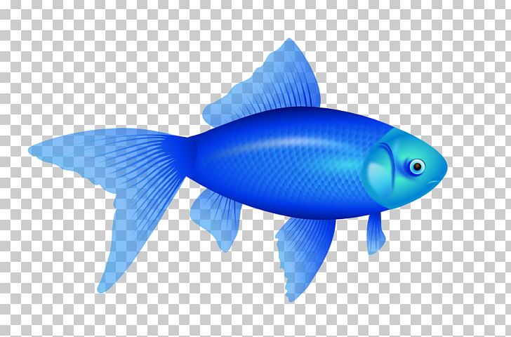 One Fish PNG, Clipart, Blue, Bony Fish, Electric Blue, Fin, Fish Free PNG Download