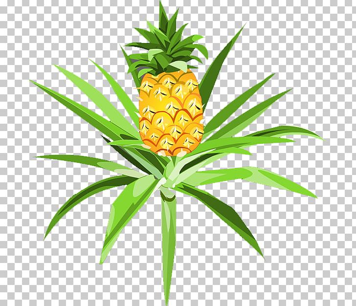 Pineapple Pitaya Auglis PNG, Clipart, Auglis, Bromeliaceae, Cartoon, Cartoon Pineapple, Decoration Free PNG Download