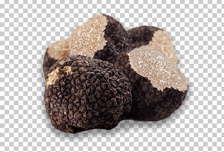 Tuber Aestivum Piedmont White Truffle Périgord Black Truffle Truffle Oil PNG, Clipart, Chocolate Truffle, Edible Mushroom, Food, Fungus, Ingredient Free PNG Download