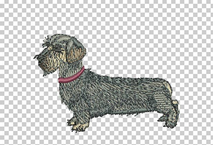 Cesky Terrier Dachshund Dog Breed Razas Nativas Vulnerables PNG, Clipart, Breed, Carnivoran, Cesky Terrier, Dachshund, Dog Free PNG Download