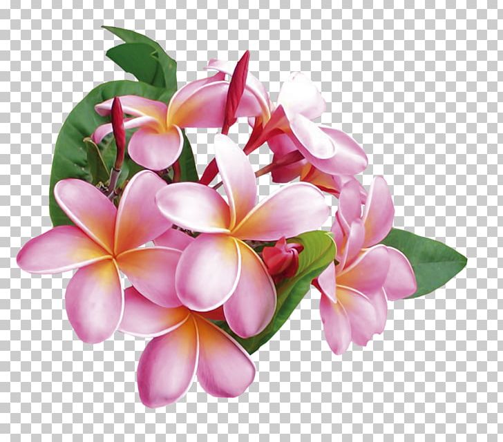 Flower Bouquet Floral Design PNG, Clipart, Art, Cartoon, Digital Image, Floral, Flower Free PNG Download
