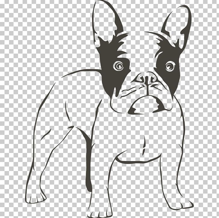 French Bulldog American Bulldog Puppy Boxer PNG, Clipart, American Bulldog, Animals, Bulldog, Carnivoran, Dog Breed Free PNG Download