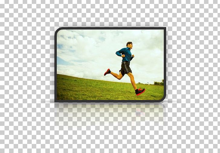 Sport Running Exercise Coach سندرم متابولیک PNG, Clipart, Bantning, Coach, Diet, Exercise, Food Free PNG Download