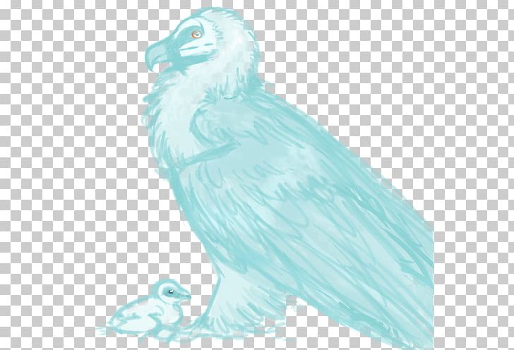 Bald Eagle Owl Beak Feather PNG, Clipart, Animals, Artwork, Bald Eagle, Beak, Bird Free PNG Download