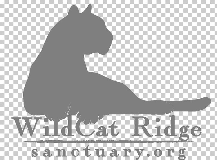 Dog Wildcat Black Pine Animal Sanctuary Bobcat PNG, Clipart, Animals, Animal Sanctuary, Big Cat, Black, Black And White Free PNG Download