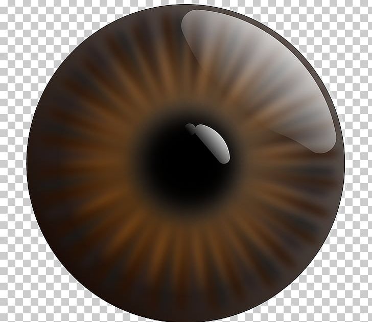 Eye Iris Pupil Light PNG, Clipart, Brown, Circle, Clip Art, Closeup