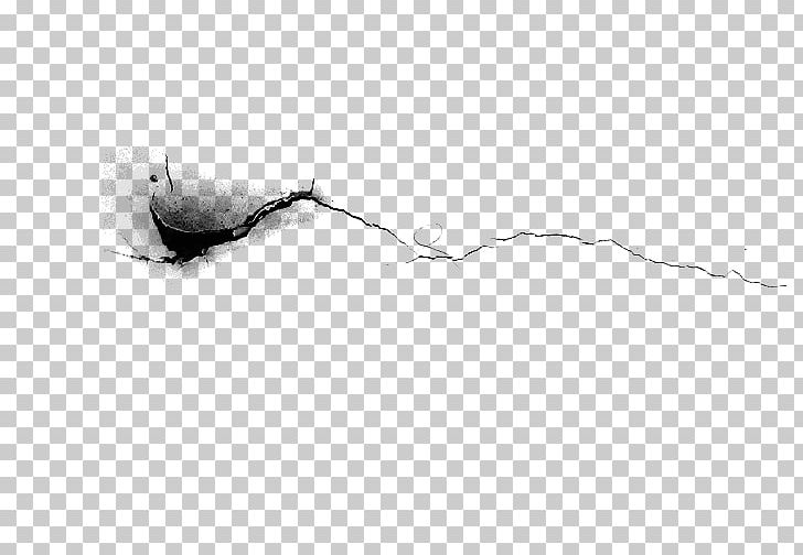 White Feather Beak PNG, Clipart, Animals, Beak, Bird, Black And White, Branch Free PNG Download