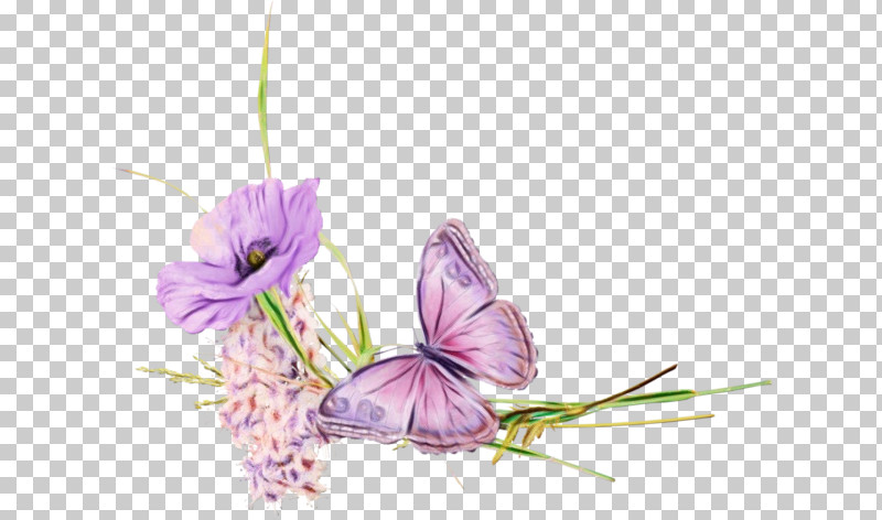 Lavender PNG, Clipart, Biology, Butterflies, Flora, Flower, Lavender Free PNG Download